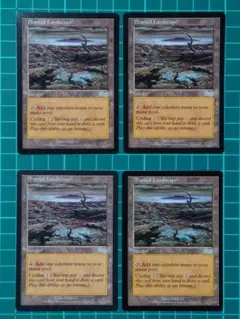 枯渇地帯/Blasted Landscape [USG] 土地U（英）×4枚
