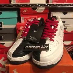 AF1 supreme north JORDAN off-white DUNK