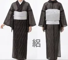夏物着物 正絹　絽　単衣 黒×赤茶　透かし　透け感のサムネイル