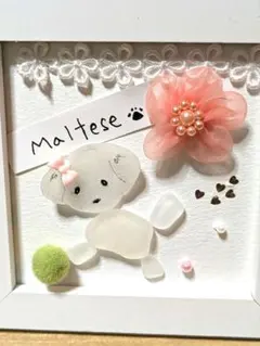 シーグラスアート～うちの子アートマルチーズボール遊び～