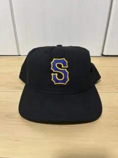 80s STUSSYCAPZ オールドステューシー キャップ スプレー缶状態良好 