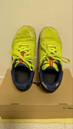 asics キッズスニーカー イエロー系