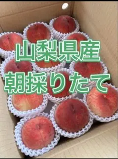 y 22 山梨県産　桃12～15個　日川白鳳 家庭用　お得 本日発送のサムネイル