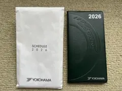 Item thumbnail for item f9cf7700-813f-4213-a258-9e4b20d29a7e