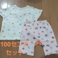 アンパンマン　★新品★　ドキンちゃん　コキンちゃん　セット　100