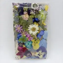 押し花＆ドライフラワー花びら♡フラワーパーツ2
