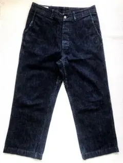 SASSAFRAS ササフラス SPRAYER STREAM PANTS
