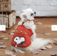 ペットパラダイス スヌーピー ベストのサムネイル