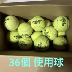 使用球 (￼主にダンロップフォート) 36個