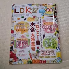 LDK(エルディーケー) 2024年2月号
