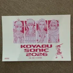 KOYABU SONIC 2026 キングダム ステッカー 非売品
