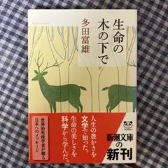 生命の木の下で