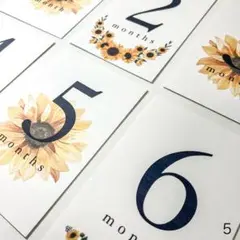 5.マンスリーカード 月齢カード ひまわり シンプル お花 Sunflower