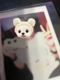 てるとくん 全顔チェキ