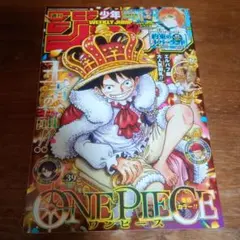 週刊少年ジャンプ 2004年14号 ONEPIECE巻頭カラー - メルカリ