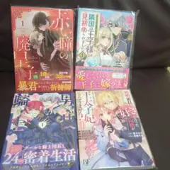 お試し①巻アソートセット