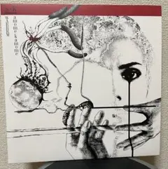 kamomekamome + SWARRRM スプリット 12インチレコード