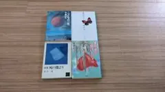 小説 纏め売り ×4