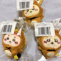 ちいかわ　たぬきだもんくじ　C賞 シーサー　ラッコ　古本屋