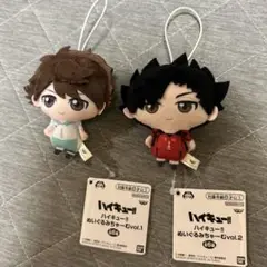 ぬいぐるみちゃーむ 及川徹 黒尾鉄朗 ハイキュー