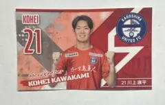 Item thumbnail for item 8b0aaf24-06eb-4354-9e67-0374cd711b31