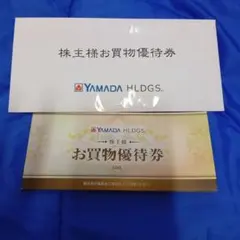 YAMADA HLDGS. お買物優待券 50枚