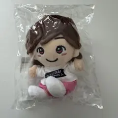 【新品未開封】道枝駿佑 ちびぬい 第一弾 第１弾 ぬい なにわ男子