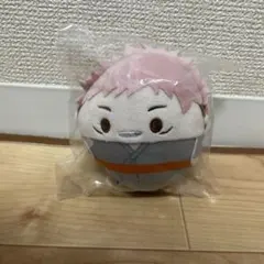 呪術廻戦　くじメイト　D賞　ふわコロりん　虎杖悠仁