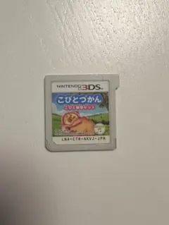 Nintendo3DS こびとづかん　カセット