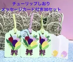 Item thumbnail for item 4a5badc6-33a0-4d9d-ae08-dc48fc653442