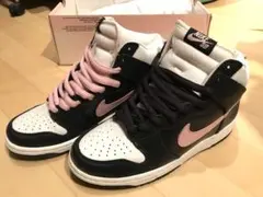 Nike Dunk High PRO SB 305050-461