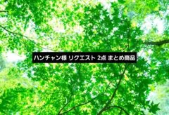 ハンチャン様 リクエスト 2点 まとめ商品