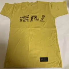 Item thumbnail for item 1dc08422-f791-4f8e-910e-136db2dfa639