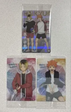 ハイキュー‼︎ ウエハース5 レア 書き下ろしカード 孤爪研磨　日向翔陽