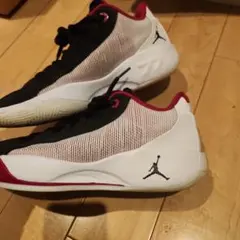 Item thumbnail for item bacc11c5-4516-4a89-9779-fc5b9c17d123