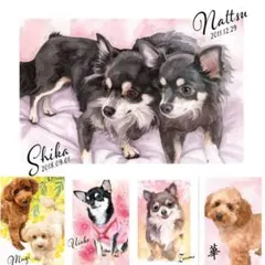 Item thumbnail for item c8761075-a07e-4bb8-ac46-75050897867f