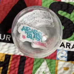 We Are ARASHI 2026 嵐 ロゴマグネットカプセル ガチャ②