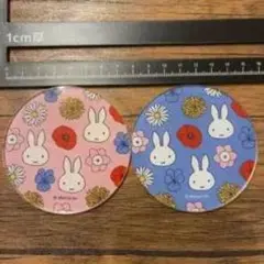 Item thumbnail for item 95f05657-ea6e-487b-8fb2-270c7544da85