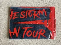 天*神様 ONE OK ROCK ワンオクEye of the Storm マフ