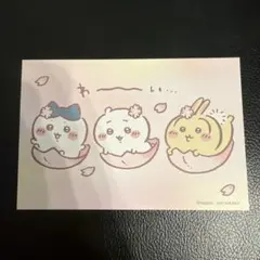 【限定】ちいかわ　さくら　ノベルティ　カード　ちいかわランド　特典　ノベルティ