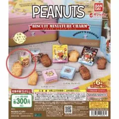 PEANUTS ビスケットミニチュア チャーム 丸缶 メープル