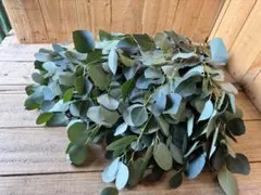 チョコ様 リクエスト 3点 まとめ商品