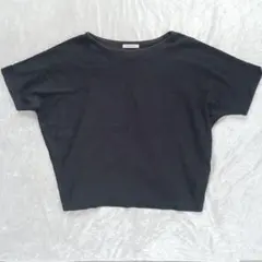 オペークドットクリップ 黒 ノース Tシャツ ワールド クロップド 半袖 M