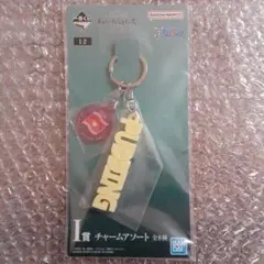 一番くじ ワンピース メモリーオブヒロインズ I賞 チャームアソート プリン