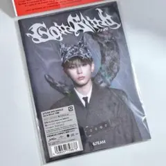 【完全新品未開封】HARUA &TEAM Go in Blind(月狼) ソロ盤