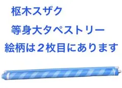 コードギアス 枢木スザク 水着 等身大タペストリー タペストリー
