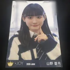 2026年最新】山野愛月 生写真の人気アイテム - メルカリ
