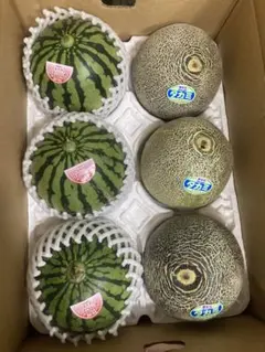 519.数量限定 小玉青肉メロン5〜8玉入り満杯品種玉数お任せ - メルカリ