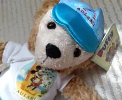 ダッフィー　ぬいぐるみ　ハワイ　HAWAII　ホテル　限定　希少　アウラニ