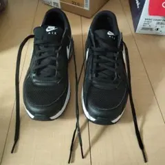 Nike Air Max ブラック スニーカー